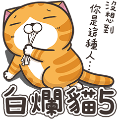 Lan Lan Cat 5