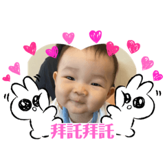 橙羚寶寶