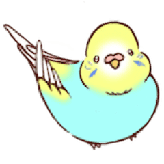 Download Sukoyaka Inko Line Stickers Line Store For Android Wallpaper Sukoyaka Inko Line Stickers Line Store For Free