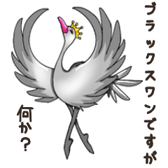 Namua Morimoto & Black Swan