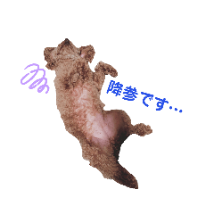 Seira_20200908173927