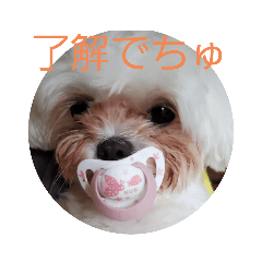 daihukuan_20200908202806