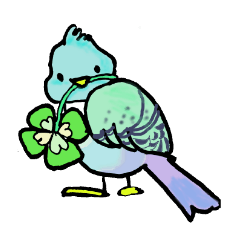 pretty parakeet