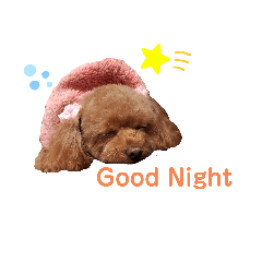 Seira_20200908192400