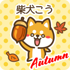 Shiba Kou in Autumn