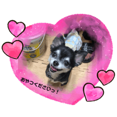 SHELLY_20200908220110