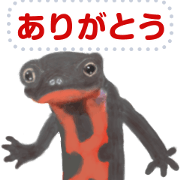 life of the academic harassment newt