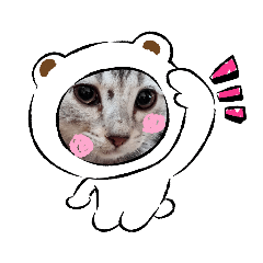 伊布ebu