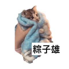 大學聲團寵-正雄篇