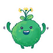 Kokedama Chan