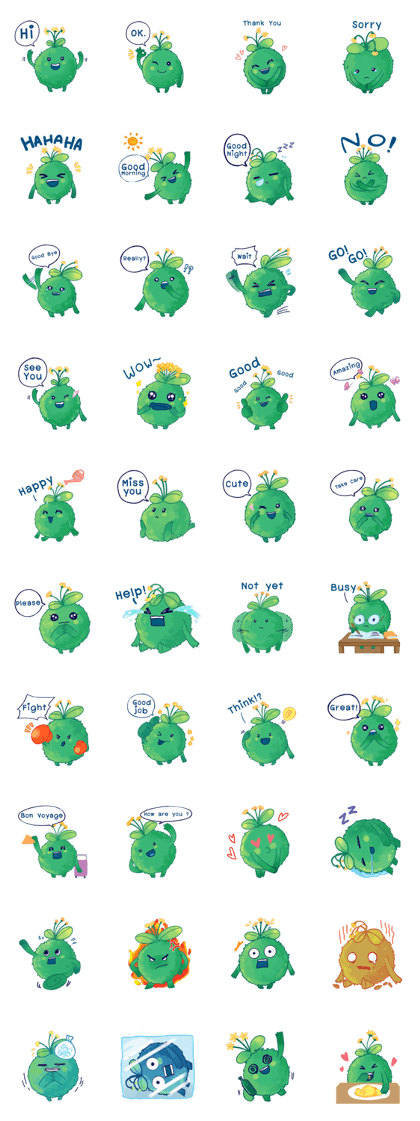 Kokedama Chan