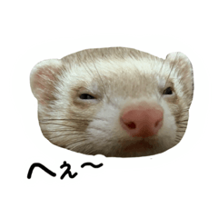 nanami_20200907202241