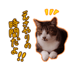 Ritscat sticker
