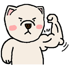 博美才才-日常用語