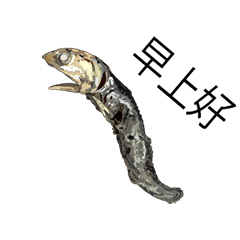 (anime)Dried sardine Chinese version