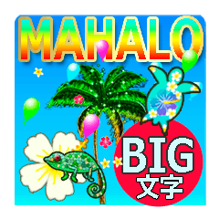 ALOHA*Hawaii*Polite language*6