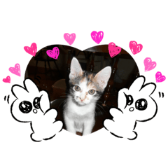 akiko_20200909153221