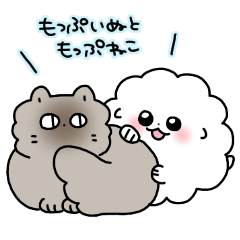 Mop dog and mop cat