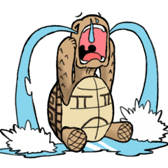 Tortoise diary - Part.4