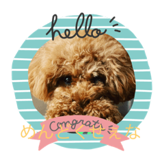 Mochi_20200909210009