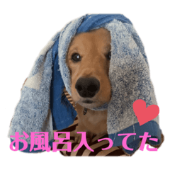 rui_20200909212316