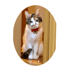 akiko_20200909232222