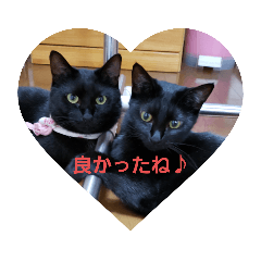 chie_20200909234643
