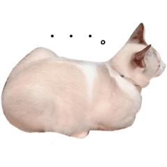 mizuki_20200910005233