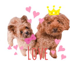 Nozomi_20200910005213