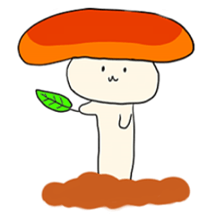 Kinoo(mushroom)