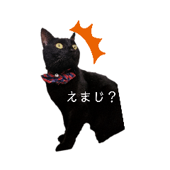 nekonorin_20200909204151