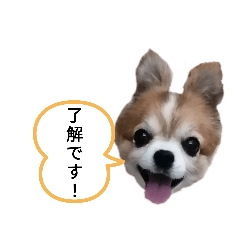 ken_20200909212502