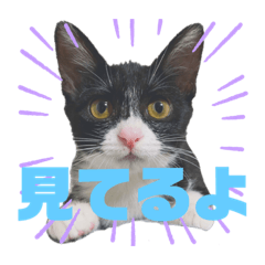 chisa_20200909215046