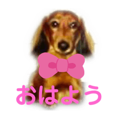 Kayo_20200909193703