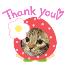 melon_20200910112445