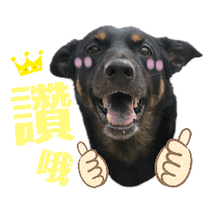 Rascal Dogs Meimei Part2