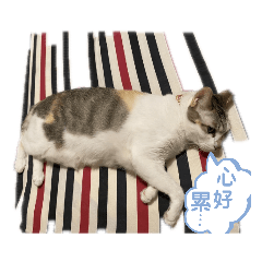 阿Qの面