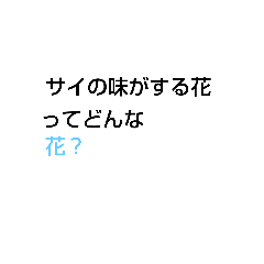 動物 Lineクリエイターズスタンプまとめ Stamplist