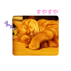 SAORI_20200908184038