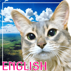 Travel Cat *English Stickers*