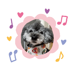 Michiko_20200910092735