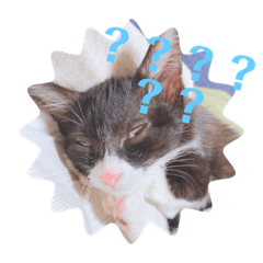 chisa_20200910011646