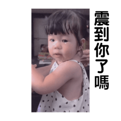 小豬悅來悅肥！