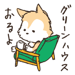 Kobe cafe dog TORAKICHI