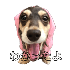 kanae_20200910112835