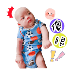 紀錄凱凱的生活日常