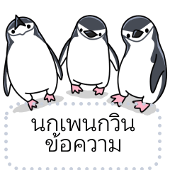 Chinstrap Penguin message [Thai]