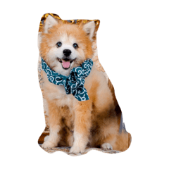 doggoee