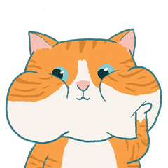 Orange cat cute daily