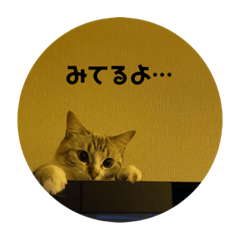 kitty_20200910172134